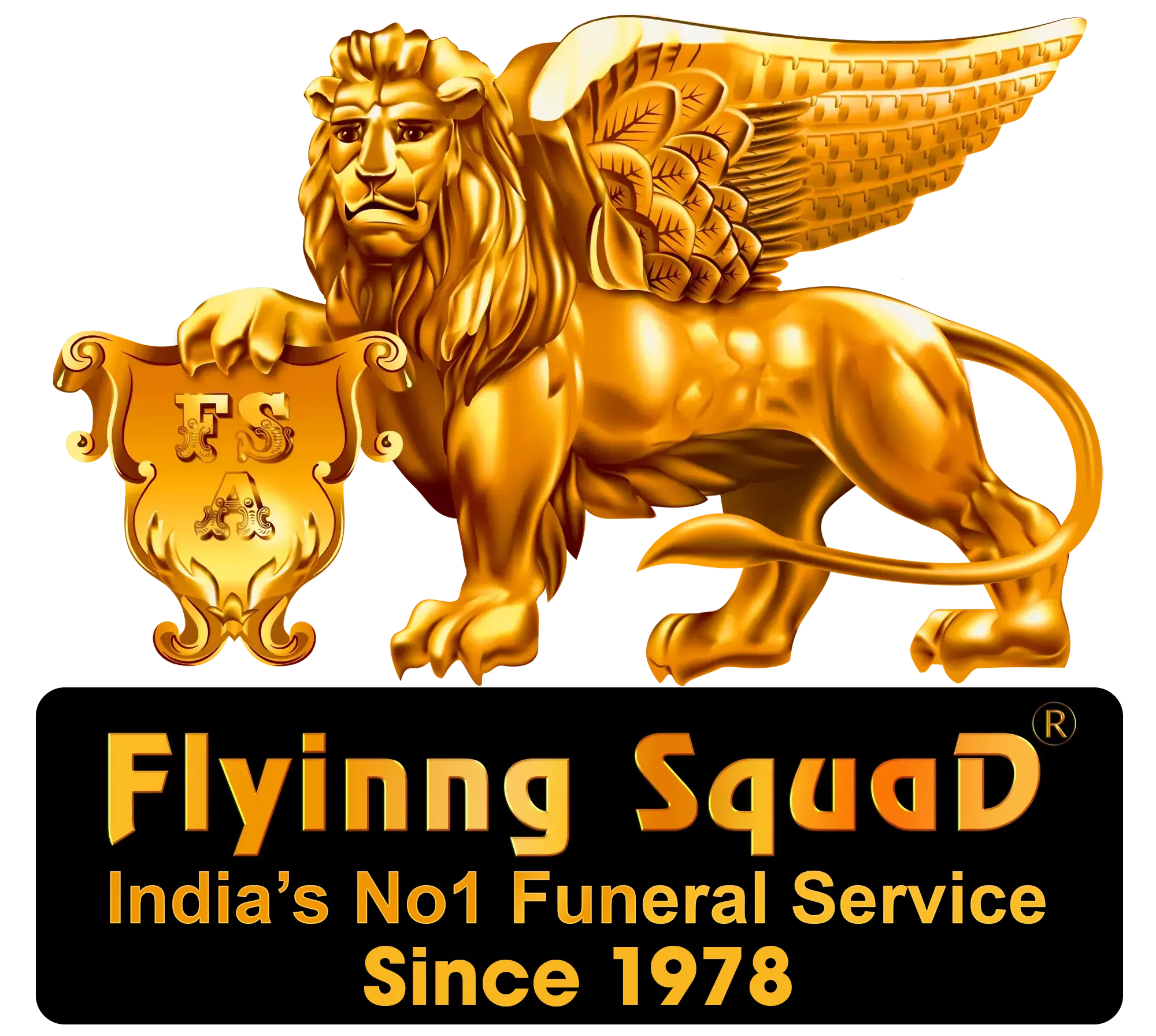 Flying Squad Promise